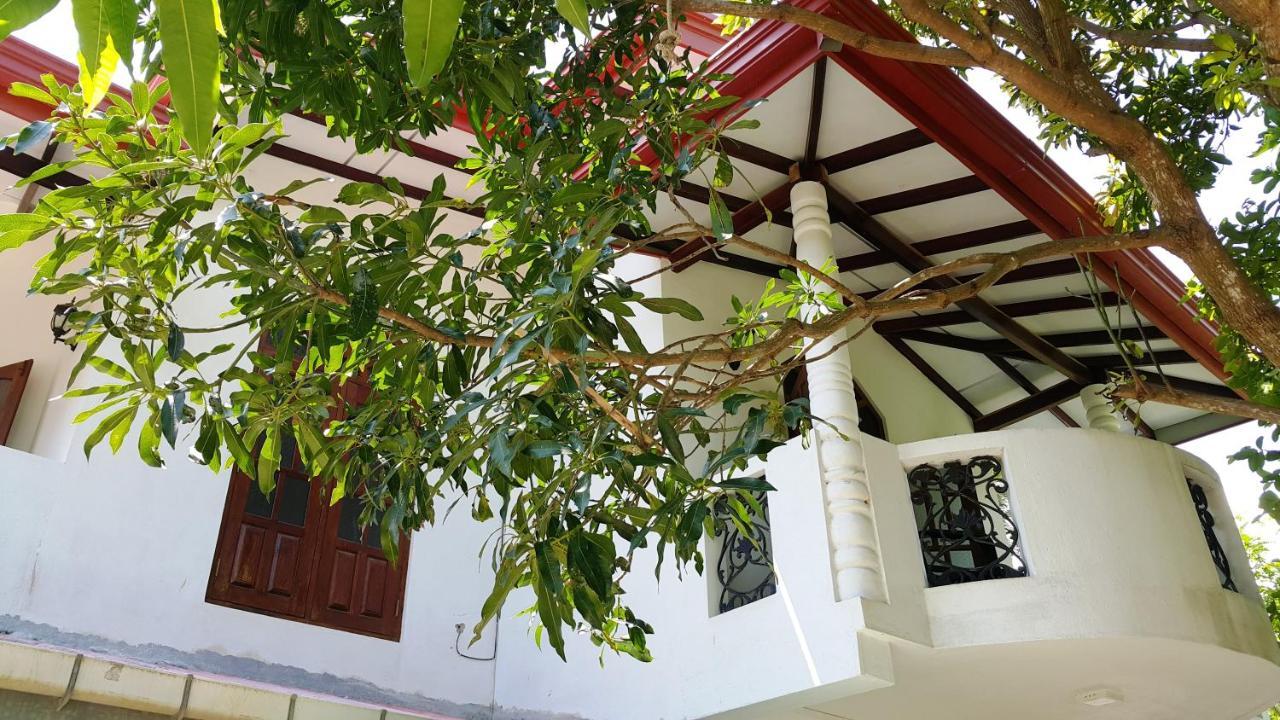 New Chili Lodge Mirissa Extérieur photo
