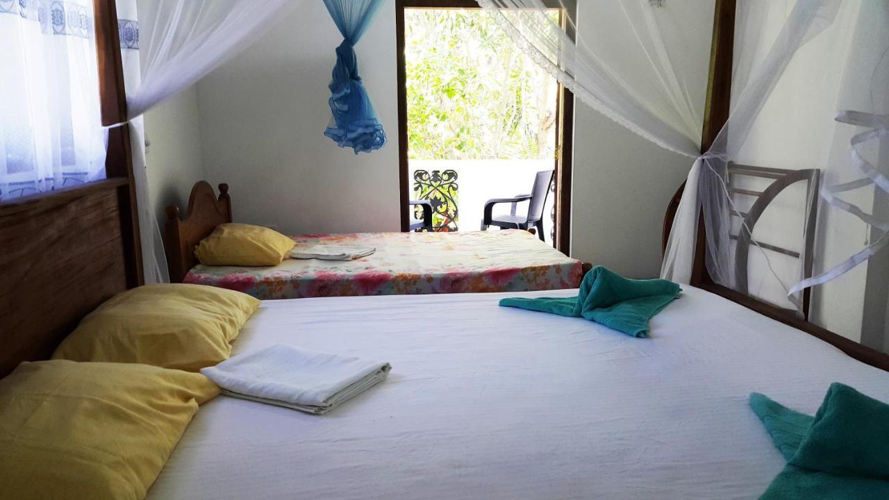 New Chili Lodge Mirissa Extérieur photo